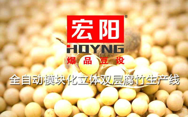 宏阳爆品豆设立体式双层腐竹流水线